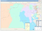 Box Elder <br /> Wall Map <br /> Color Cast Style 2025 Map