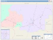 Iron <br /> Wall Map <br /> Color Cast Style 2025 Map