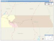 Wayne <br /> Wall Map <br /> Color Cast Style 2025 Map