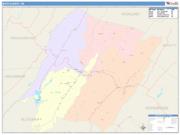 Bath <br /> Wall Map <br /> Color Cast Style 2025 Map