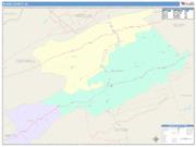 Bland <br /> Wall Map <br /> Color Cast Style 2025 Map