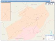 Craig <br /> Wall Map <br /> Color Cast Style 2025 Map