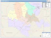 Dinwiddie <br /> Wall Map <br /> Color Cast Style 2025 Map