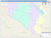 Louisa <br /> Wall Map <br /> Color Cast Style 2025 Map