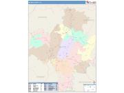 Nelson <br /> Wall Map <br /> Color Cast Style 2025 Map