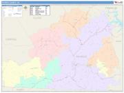 Patrick <br /> Wall Map <br /> Color Cast Style 2025 Map