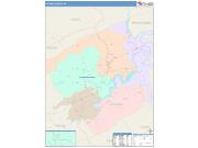 Pulaski <br /> Wall Map <br /> Color Cast Style 2025 Map