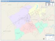 Roanoke <br /> Wall Map <br /> Color Cast Style 2025 Map
