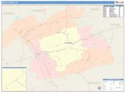 Smyth <br /> Wall Map <br /> Color Cast Style 2025 Map