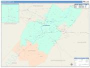 Warren <br /> Wall Map <br /> Color Cast Style 2025 Map