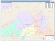 Washington <br /> Wall Map <br /> Color Cast Style 2025 Map