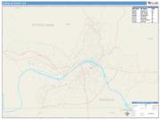 Danville <br /> Wall Map <br /> Color Cast Style 2025 Map
