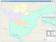 Franklin <br /> Wall Map <br /> Color Cast Style 2025 Map