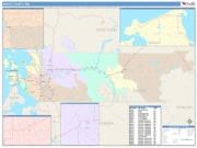 Skagit <br /> Wall Map <br /> Color Cast Style 2025 Map
