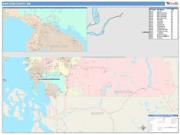 Whatcom <br /> Wall Map <br /> Color Cast Style 2025 Map