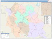 Fayette <br /> Wall Map <br /> Color Cast Style 2025 Map