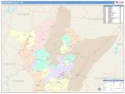 Greenbrier <br /> Wall Map <br /> Color Cast Style 2025 Map