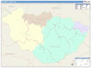 McDowell <br /> Wall Map <br /> Color Cast Style 2025 Map