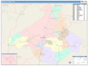 Nicholas <br /> Wall Map <br /> Color Cast Style 2025 Map