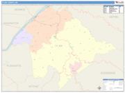 Tyler <br /> Wall Map <br /> Color Cast Style 2025 Map