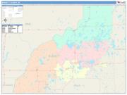 Burnett <br /> Wall Map <br /> Color Cast Style 2025 Map