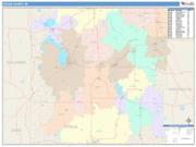 Dodge <br /> Wall Map <br /> Color Cast Style 2025 Map
