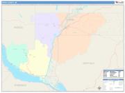 Pepin <br /> Wall Map <br /> Color Cast Style 2025 Map
