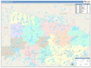 Vilas <br /> Wall Map <br /> Color Cast Style 2025 Map