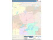 Walworth <br /> Wall Map <br /> Color Cast Style 2025 Map