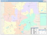 Waupaca <br /> Wall Map <br /> Color Cast Style 2025 Map