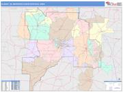 Albany <br /> Wall Map <br /> Color Cast Style 2025 Map