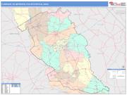 Florence <br /> Wall Map <br /> Color Cast Style 2025 Map