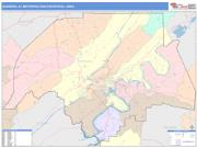 Gadsden <br /> Wall Map <br /> Color Cast Style 2025 Map