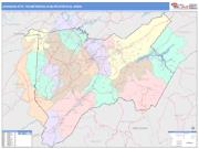 Johnson City <br /> Wall Map <br /> Color Cast Style 2025 Map