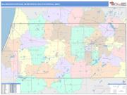 Kalamazoo-Portage <br /> Wall Map <br /> Color Cast Style 2025 Map