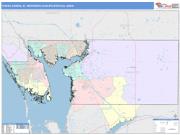 Punta Gorda <br /> Wall Map <br /> Color Cast Style 2025 Map