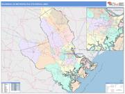 Savannah <br /> Wall Map <br /> Color Cast Style 2025 Map