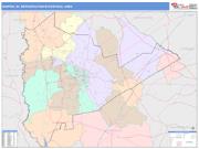 Sumter <br /> Wall Map <br /> Color Cast Style 2025 Map