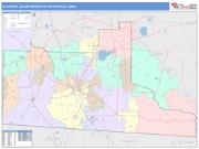 Valdosta <br /> Wall Map <br /> Color Cast Style 2025 Map