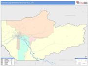 Fairbanks <br /> Wall Map <br /> Color Cast Style 2024 Map