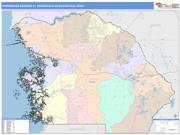 Homosassa Springs <br /> Wall Map <br /> Color Cast Style 2025 Map