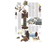 Alaska 1975 <br /> Wall Map Map