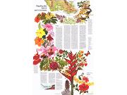 Hawaii 1976 <br /> Wall Map Part B Map