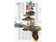Maine 1975 <br /> Wall Map Part B Map