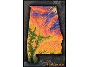Alabama Topo <br /> Wall Map Map