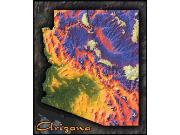 Arizona Topo <br /> Wall Map Map