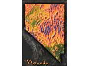 Nevada Topo <br /> Wall Map Map