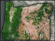Oregon <br /> Satellite <br /> Wall Map Map