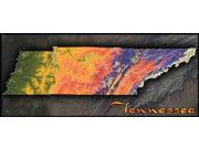 Tennessee Topo <br /> Wall Map Map