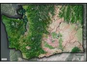 Washington <br /> Satellite <br /> Wall Map Map